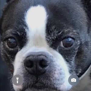 Meet your Posher, Rich